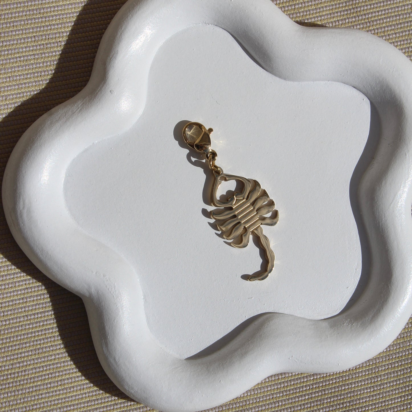 Charm Escorpio