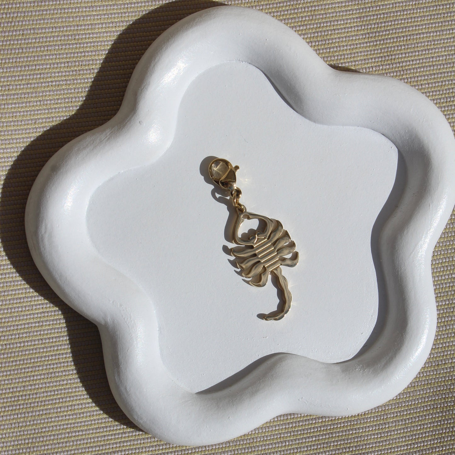 Charm Escorpio