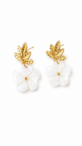 Pendientes Reila