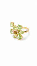 Anillo Larium