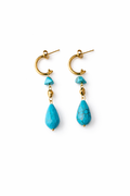 Pendientes Amazonia