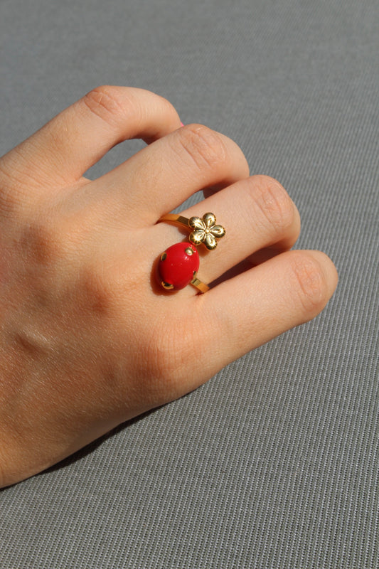 Anillo Quita