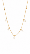 Collar Tirea