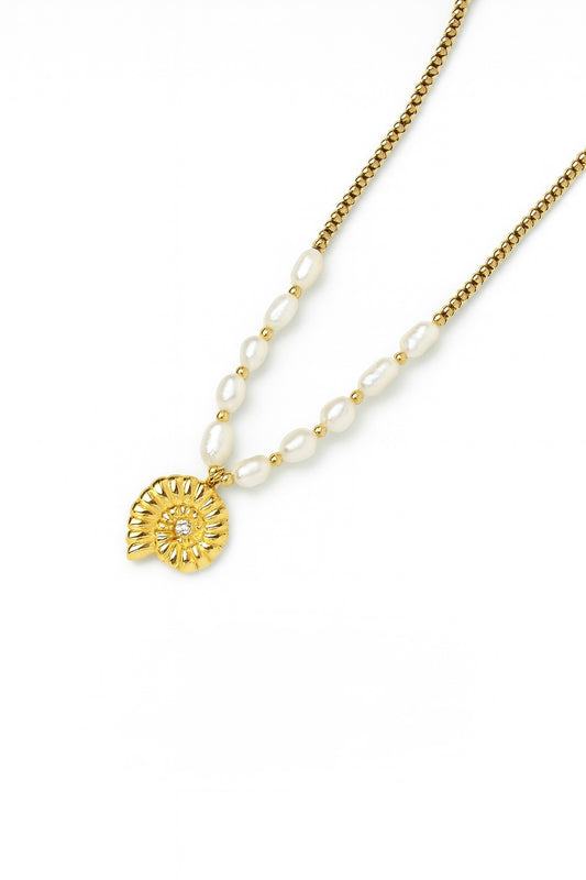 Collar Nautilus