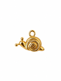 Charm caracol