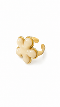 Anillo Kin