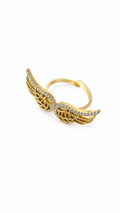 Anillo Biel
